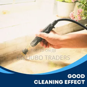 2500W High-Pressure Portable Steam Cleaner