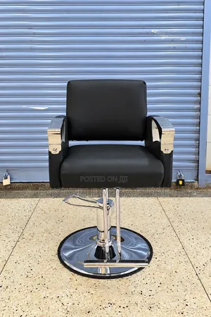 Salon Chair Salon Chair