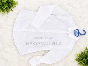 Office Cotton Shirts for Women