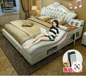 Indian Smart Music Banks Bed 5x6