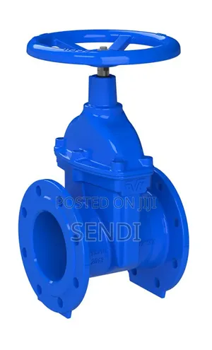 Gate Valve 4"