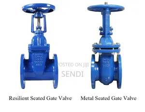 Gate Valve 4"