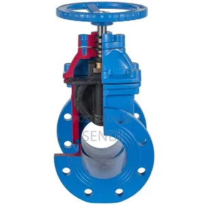 Gate Valve 4"