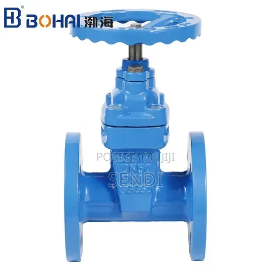 Gate Valve 4"