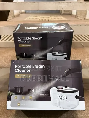 High-Pressure Portable Steam Cleaner
