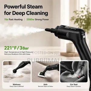 High-Pressure Portable Steam Cleaner