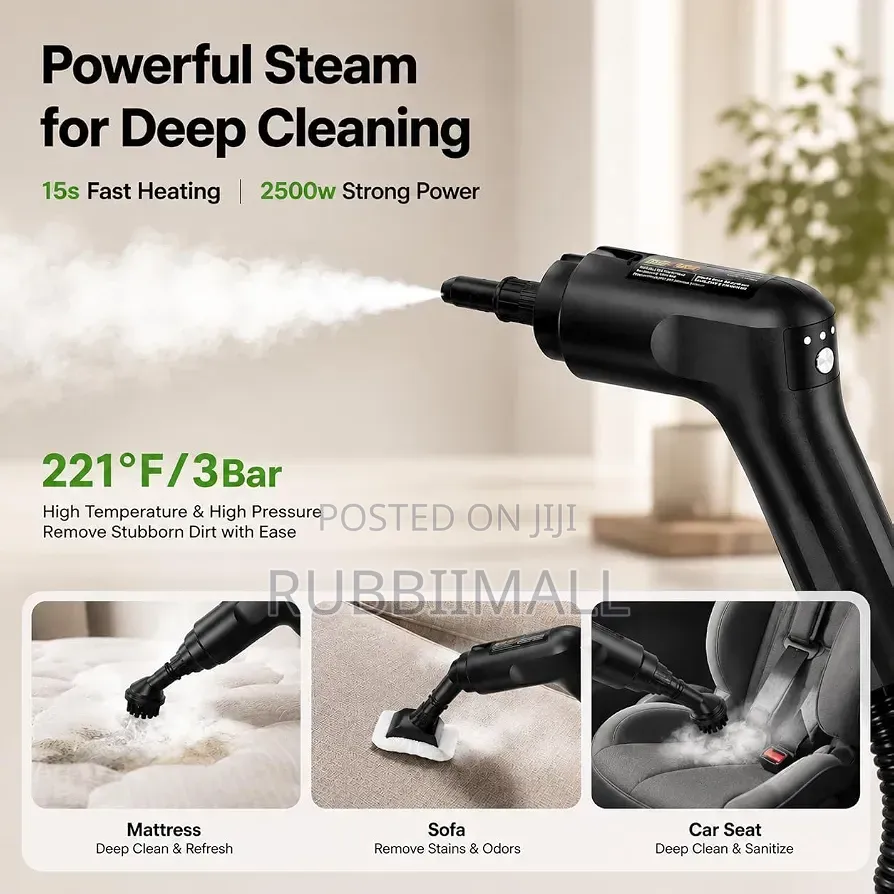 High-Pressure Portable Steam Cleaner