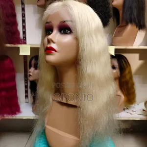Human Hair Wigs