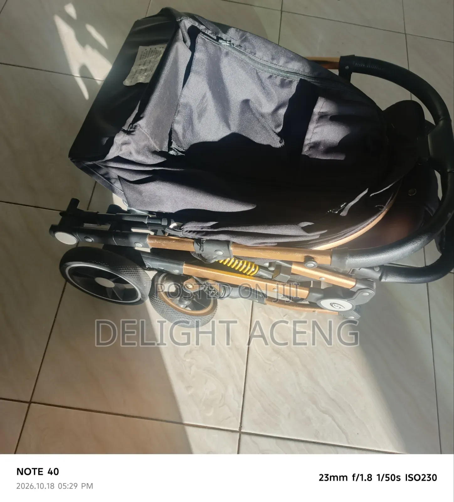 Luxury Baby Stroller- Foldable, Gold Frame, Reclines for Sleep, Strong