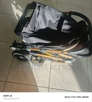 Luxury Baby Stroller- Foldable, Gold Frame, Reclines for Sleep, Strong