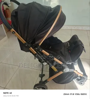 Luxury Baby Stroller- Foldable, Gold Frame, Reclines for Sleep, Strong