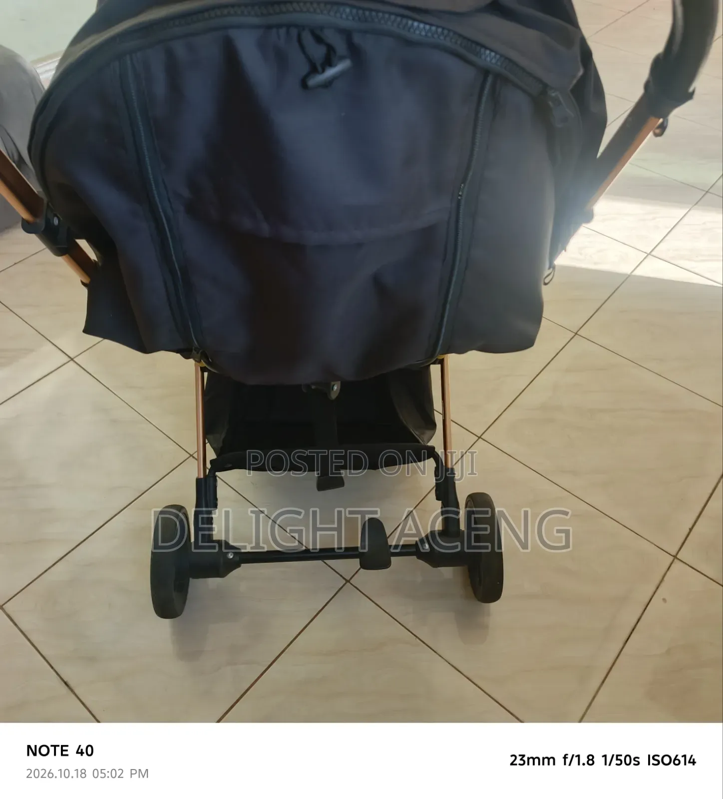 Luxury Baby Stroller- Foldable, Gold Frame, Reclines for Sleep, Strong