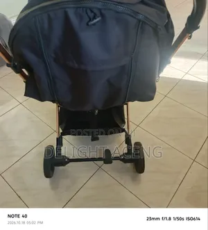 Luxury Baby Stroller- Foldable, Gold Frame, Reclines for Sleep, Strong