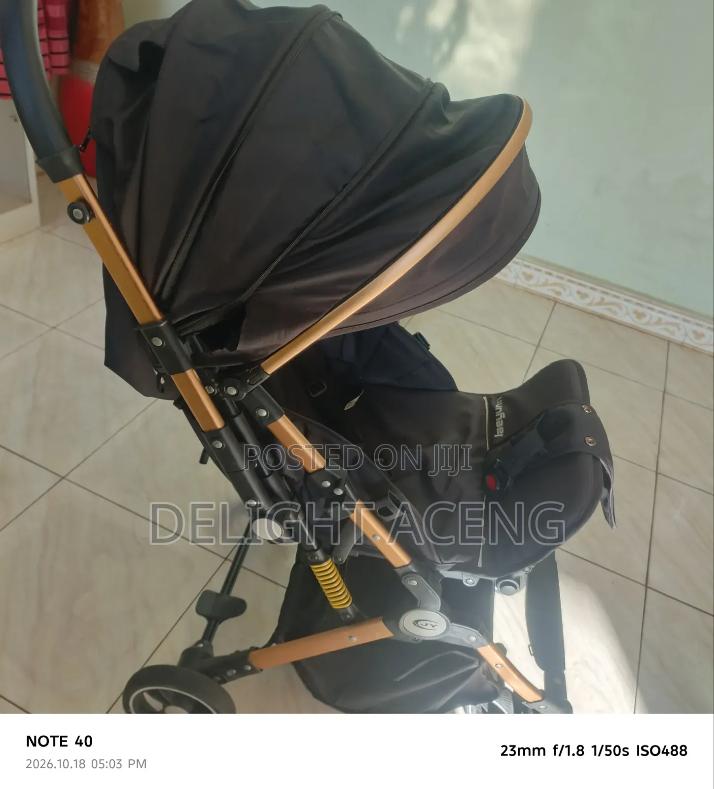 Luxury Baby Stroller- Foldable, Gold Frame, Reclines for Sleep, Strong