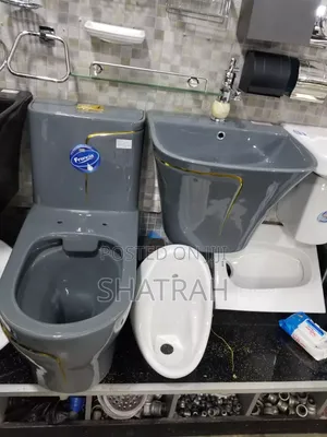 Toilet Seat