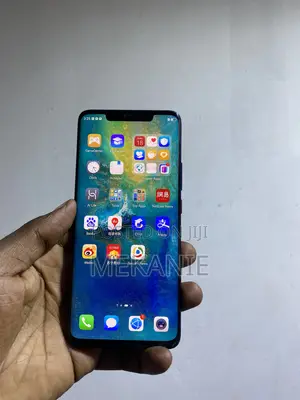 Huawei Mate 20 Pro 256 GB Blue