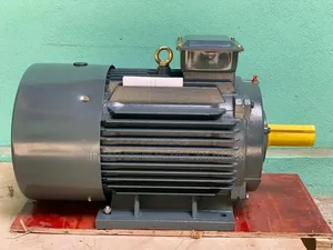 3Phase 22kw 30HP Normal Speed Motor