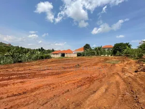 Namugongo Nsasa Nabusugwe Road Half Acre Land on Quick Sale 180million