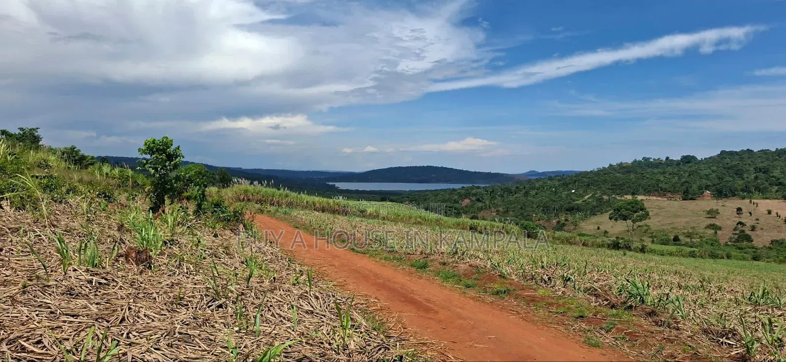Buikwe Ssii 100acres on Sale 25m Per Acre With Lake View, Lake Front