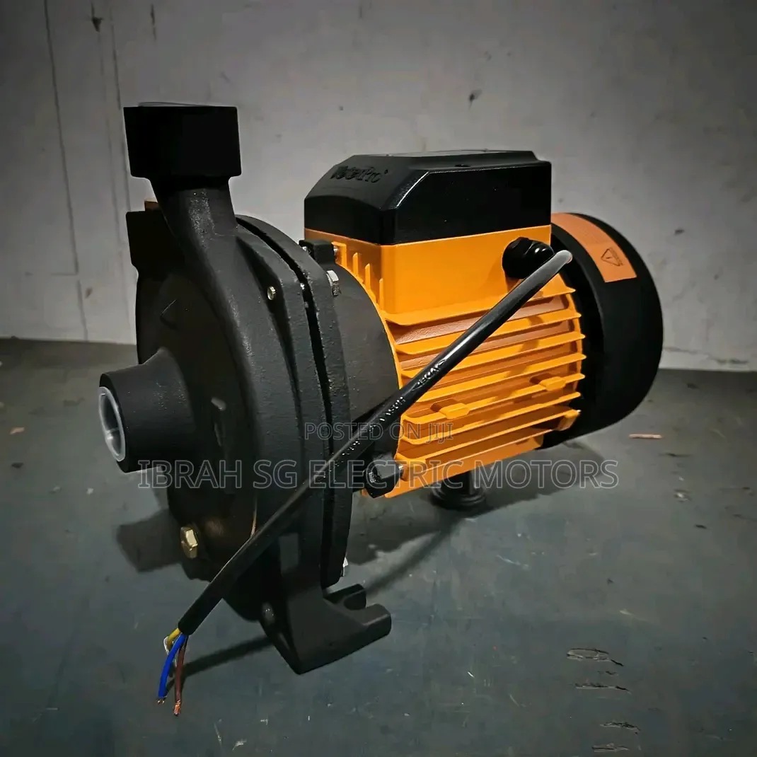 Original Surface Water Pump