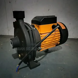 Original Surface Water Pump