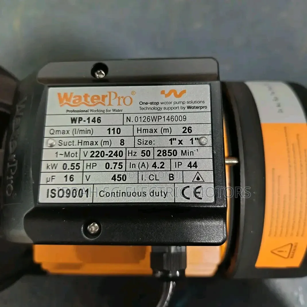 Original Surface Water Pump