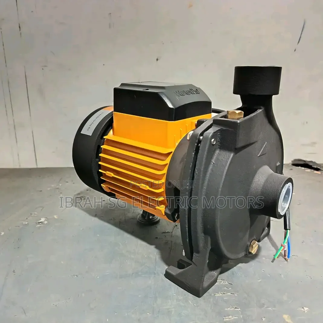 Original Surface Water Pump