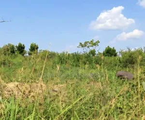 200 Acres for Sale Nakaseke Kakoge Private Mailo Land