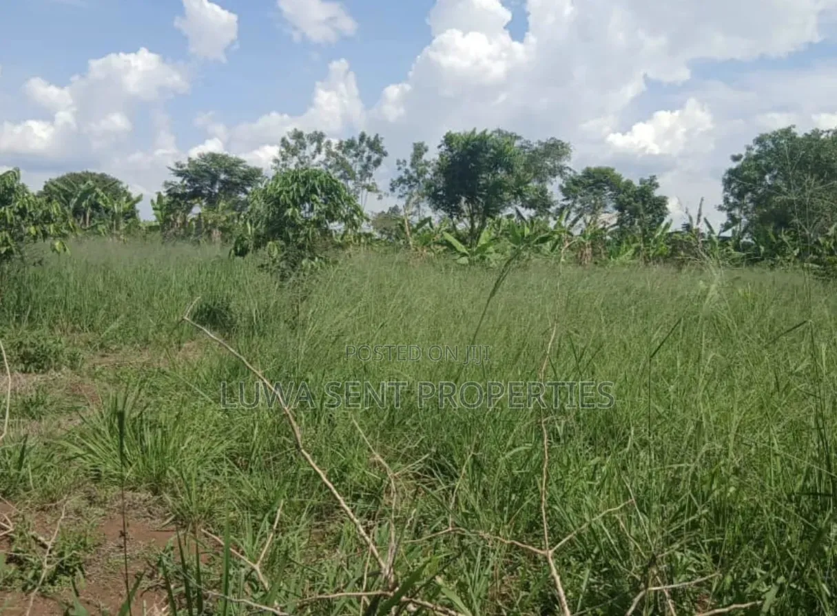 200 Acres for Sale Nakaseke Kakoge Private Mailo Land