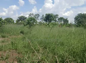 200 Acres for Sale Nakaseke Kakoge Private Mailo Land