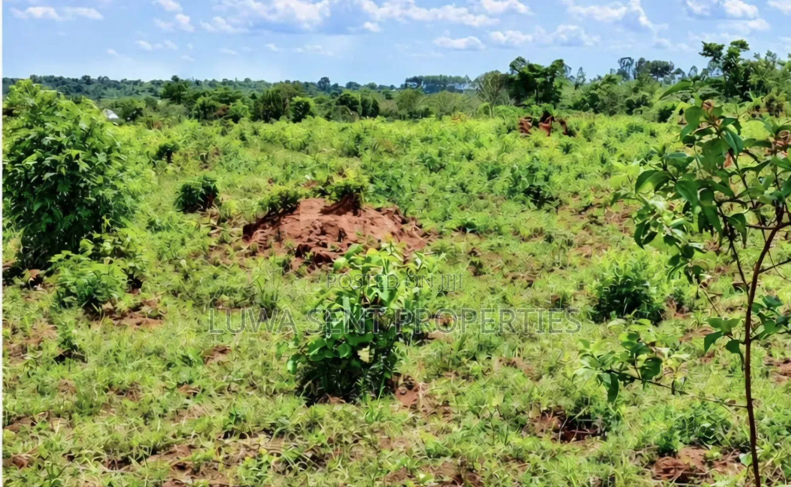 200 Acres for Sale Nakaseke Kakoge Private Mailo Land