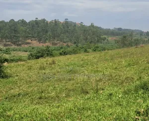 7Sq Miles Mailo Land for Sale NAKASONGOLA PRIVATE MAILO TITLE