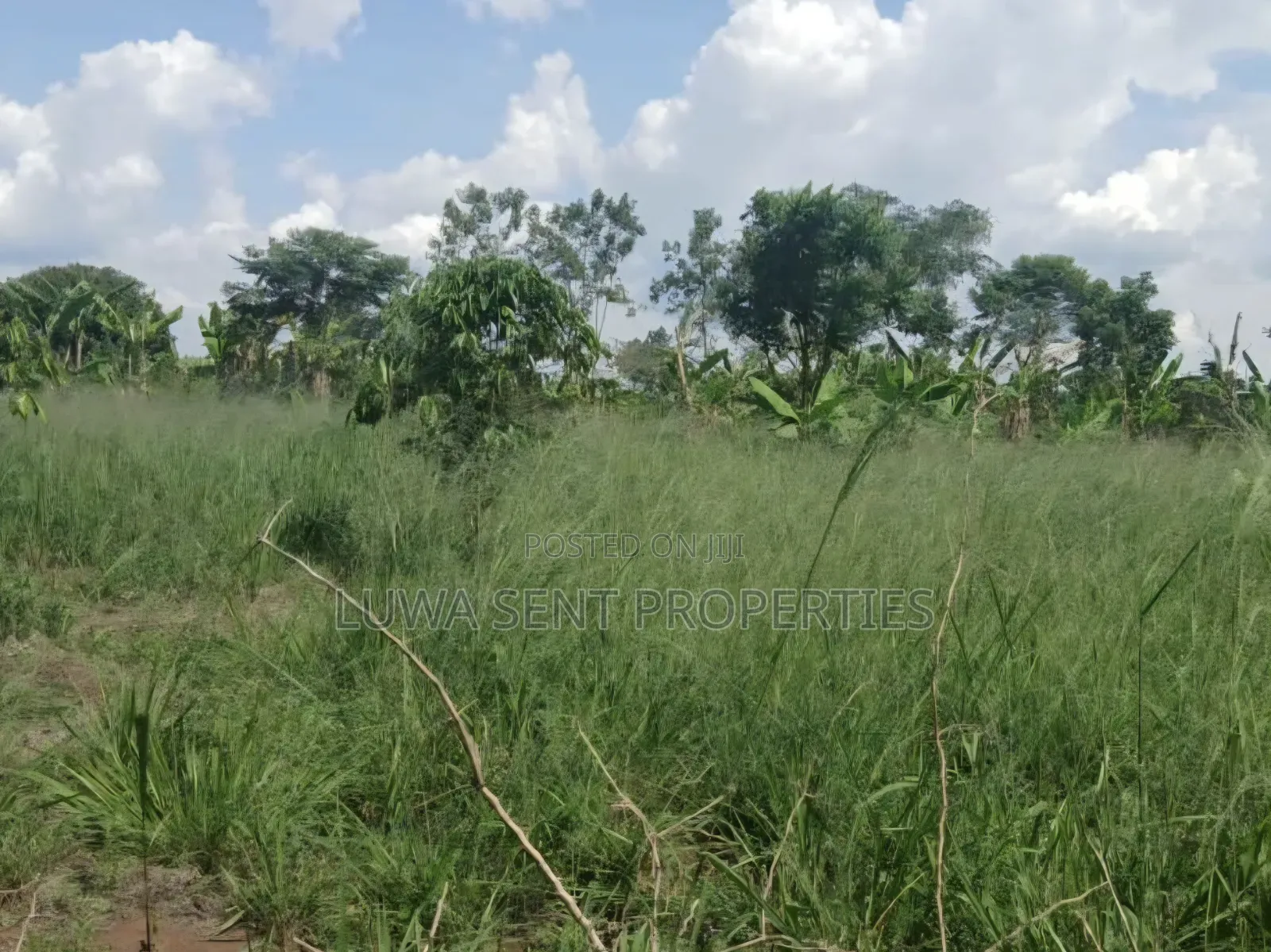 7Sq Miles Mailo Land for Sale NAKASONGOLA PRIVATE MAILO TITLE