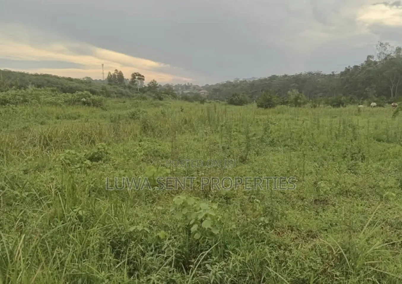 2 Square Miles for Sale Nakasongola Freehold
