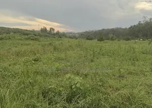 2 Square Miles for Sale Nakasongola Freehold