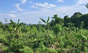 2 Square Miles for Sale Nakasongola Freehold