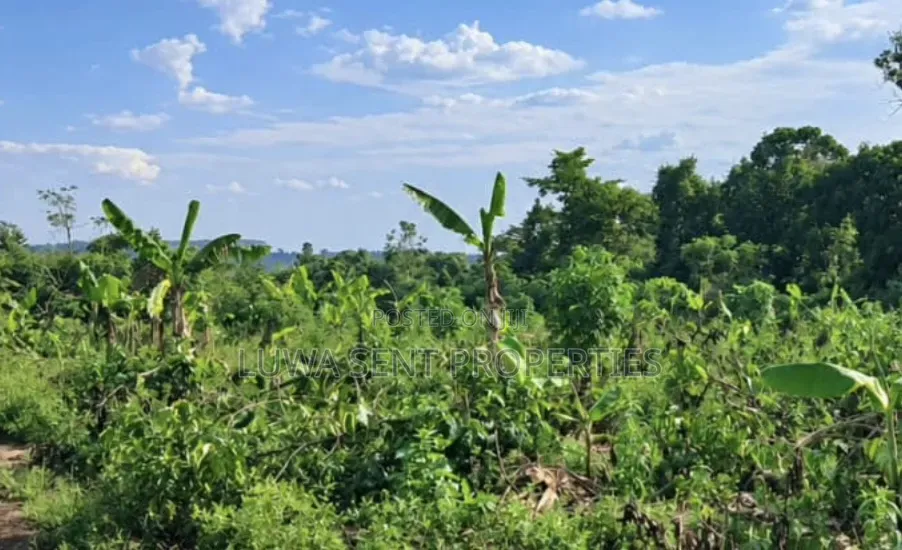 2 Square Miles for Sale Nakasongola Freehold