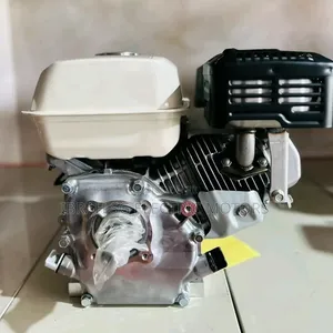 Petrol Engine 8HP