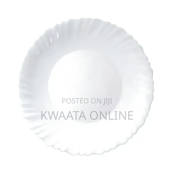 Arcopal (France 19-Piece Opal Glass Dinnerware Set Scalloped Tableware