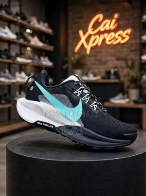 Nike Trail ATC / Nike Pegasus Trail Running Shoe in a Black and Teal