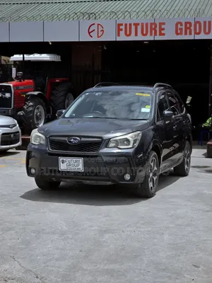 Subaru Forester 2013 Gray