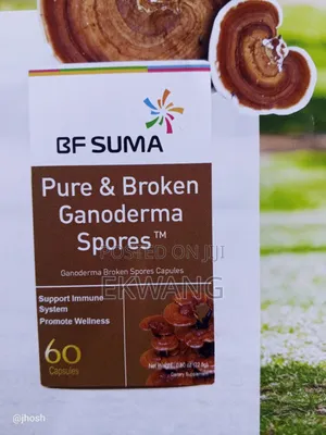 Pure and Broken Ganoderma Spores