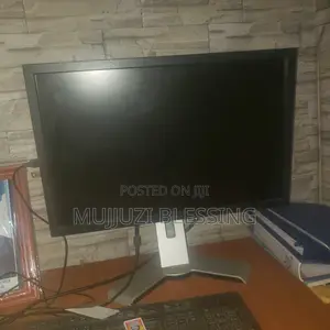 Computer Monitor