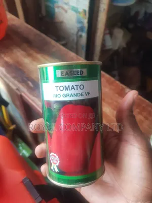 Tomato Seeds Rio Grande Vf 50g