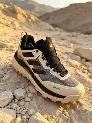 Is the Adidas Terrex Skychaser Tech GTX Hiking Sneaker In