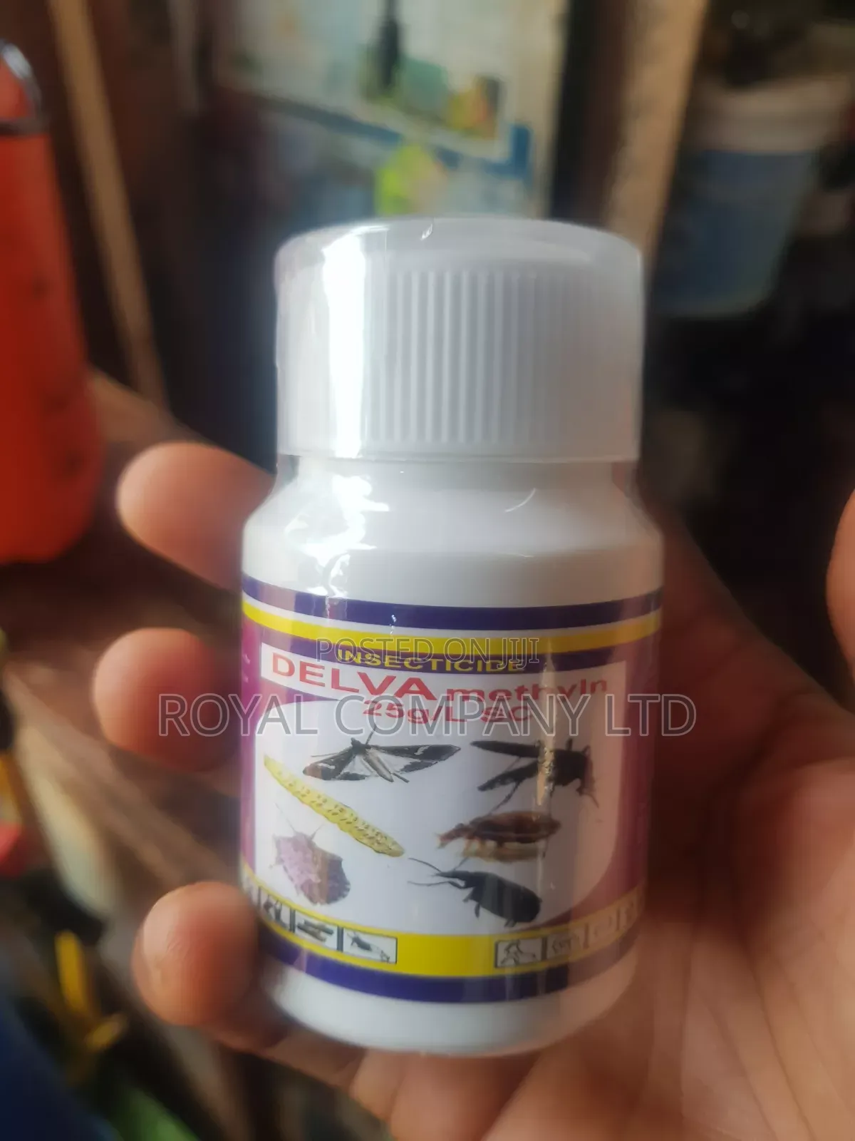 Bedbug Killer Delva 100mls