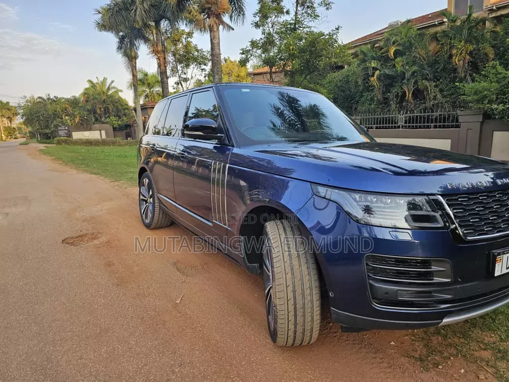 Rover 800 2019 Blue