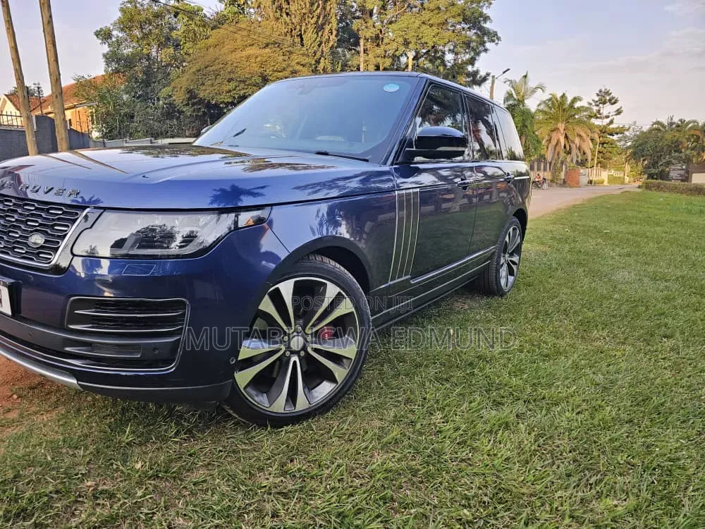 Rover 800 2019 Blue