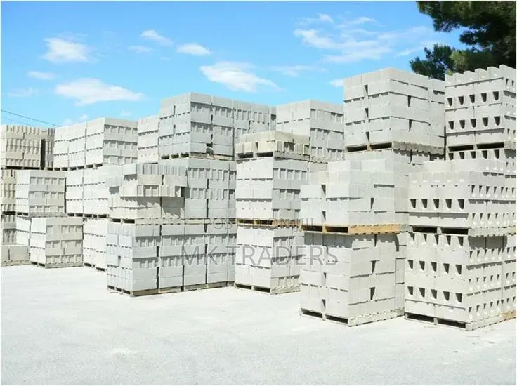 6 Inch Hollow Block .