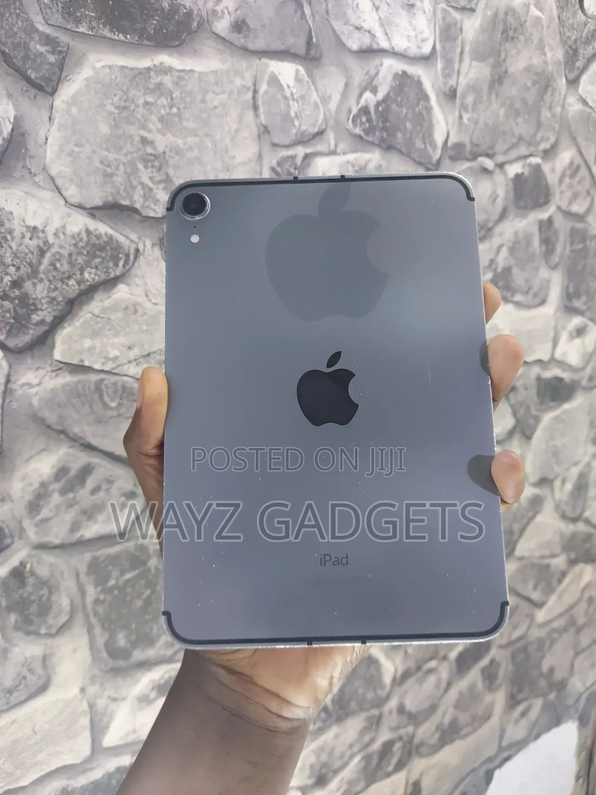 Apple iPad mini (2021) 256 GB Gray